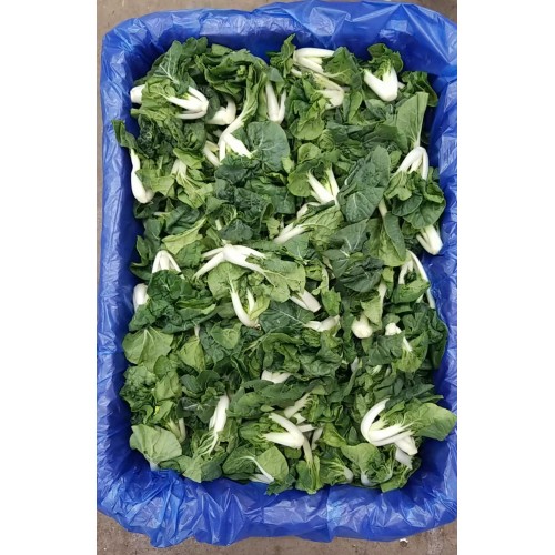 白菜仔（白菜毛）